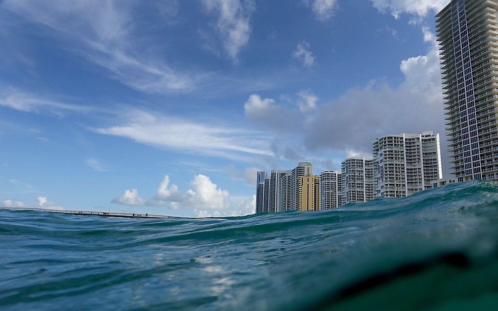 Kust bij Florida. beeld AFP, Joe Raedle