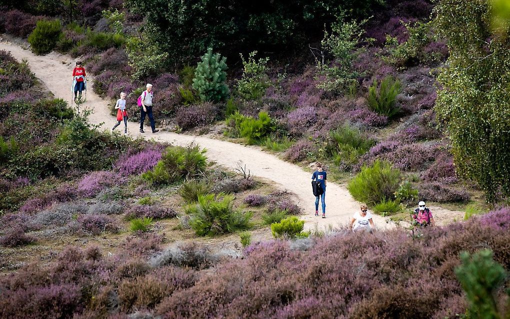 Wandelaars op de Posbank. beeld ANP, Sem van der Wal