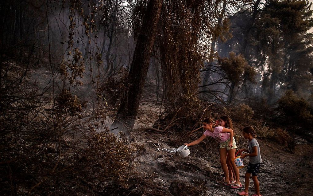 Na de bosbranden op het eiland Evia. beeld AFP, ANGELOS TZORTZINIS