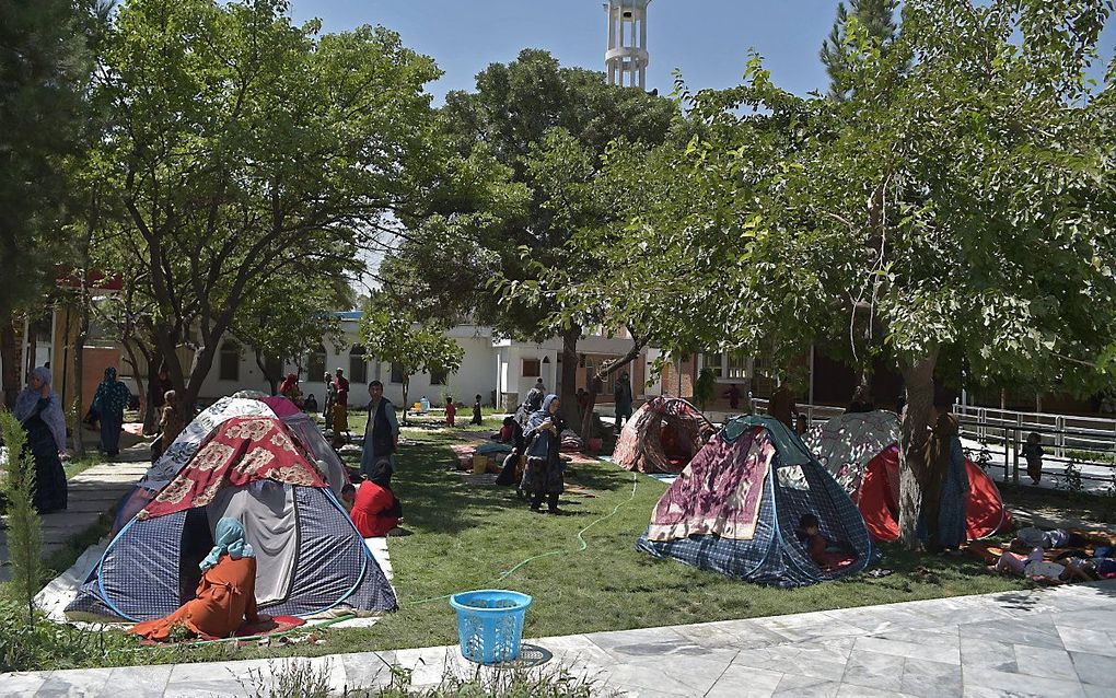 Voor Taliban op de vlucht geslagen Afghaanse families bivakkeren in tenten in Kabul. beeld AFP, Wahil Kohsar