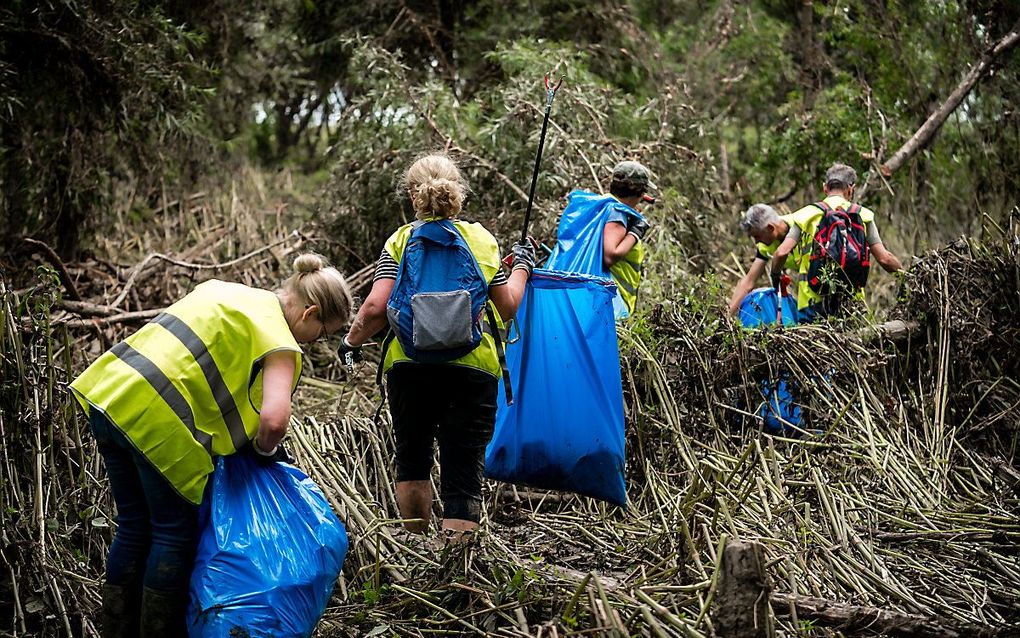 Een grote groep vrijwilligers zoekt onder begeleiding van boswachters van Natuurmonumenten naar troep tijdens een grote schoonmaakactie in de gebieden rondom de Maas. beeld ANP, Rob Engelaar