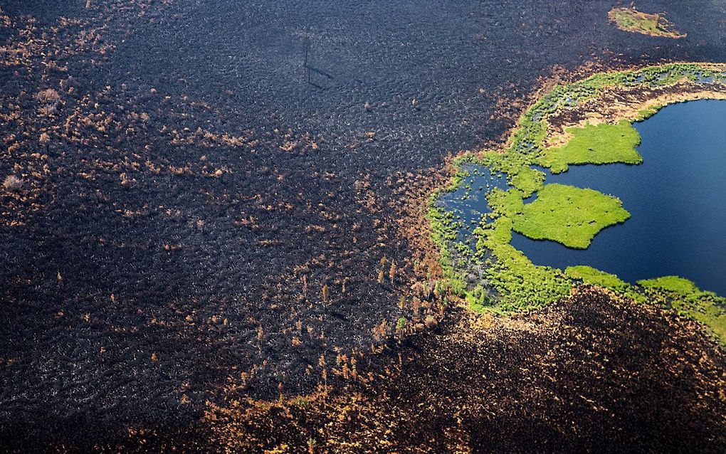 Een afgebrand bos in Jakoetsk. beeld AFP, Dimitar Dilkoff