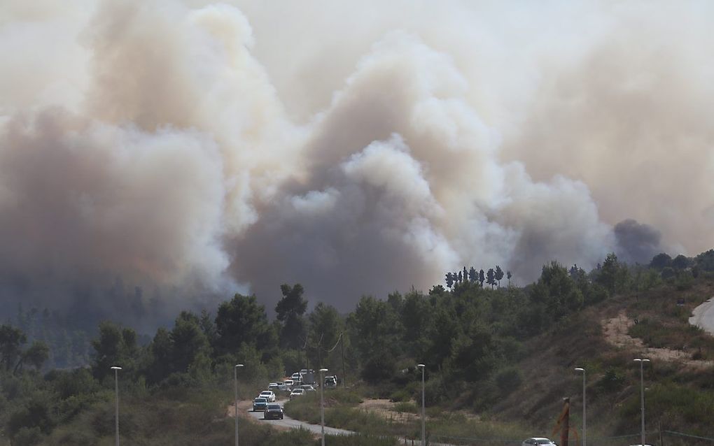 De bosbrand bij Jeruzalem brak zondag uit in de heuvels ten oosten van de stad. Door hitte en harde wind kon het vuur zich snel verspreiden. beeld EPA, Abir Sultan