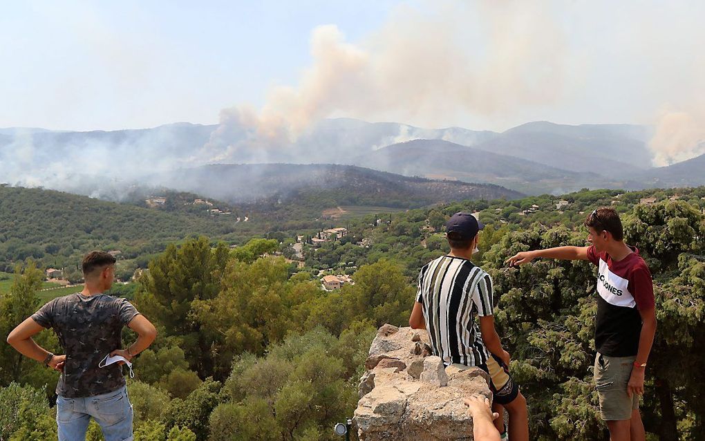 Bosbrand in het zuiden van Frankrijk. beeld AFP, Valery Hache