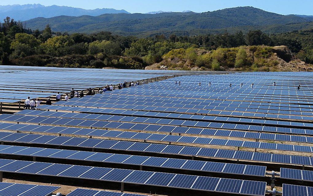 Veld met zonnepanelen op het Franse eiland Corsica. beeld AFP, Pascal Pochard-Casabianca