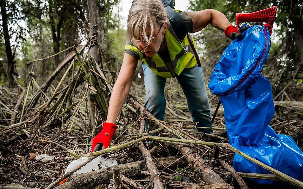 Een grote groep vrijwilligers zoekt onder begeleiding van boswachters van Natuurmonumenten naar troep tijdens een grote schoonmaakactie eind juli in de gebieden rondom de Maas. beeld ANP, Rob Engelaar