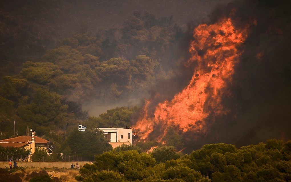 „Bosbranden teisteren Zuid-Europa, en niet alleen daar.” beeld AFP, Angelos Tzortzinis