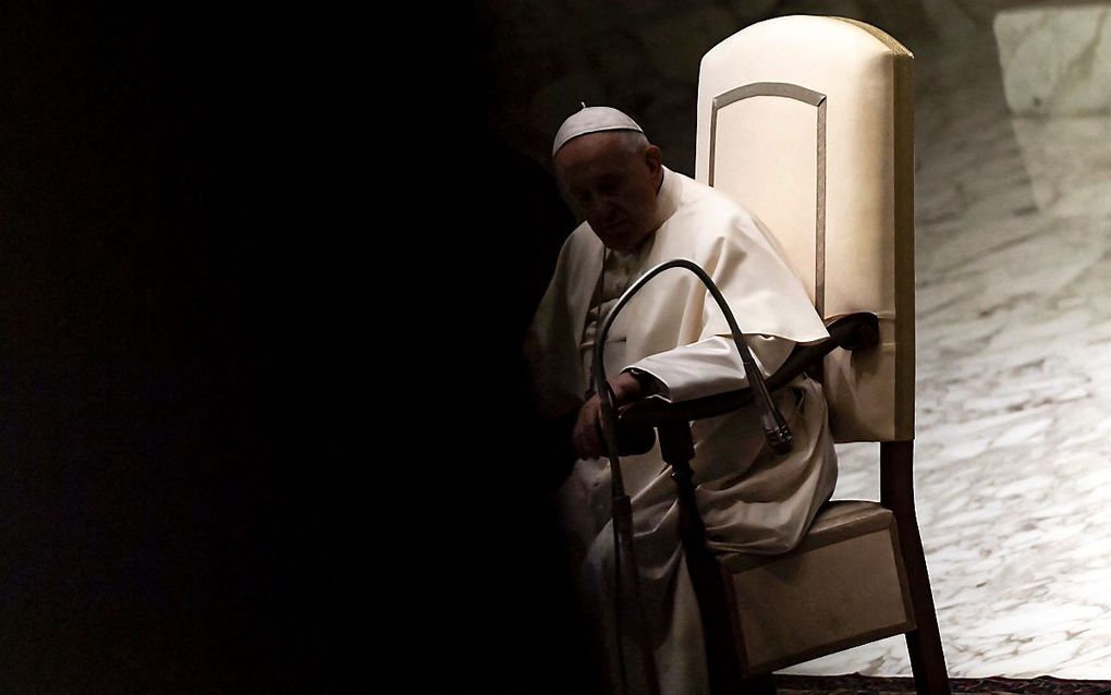 Paus Franciscus. beeld AFP, Tiziana Fabi