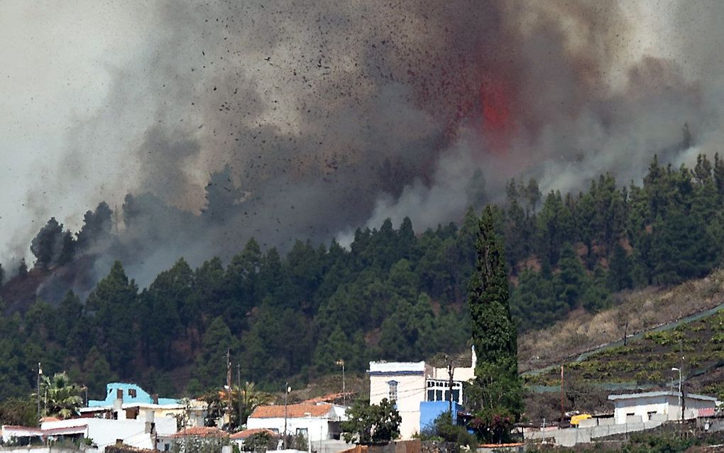 beeld AFP, DESIREE MARTIN