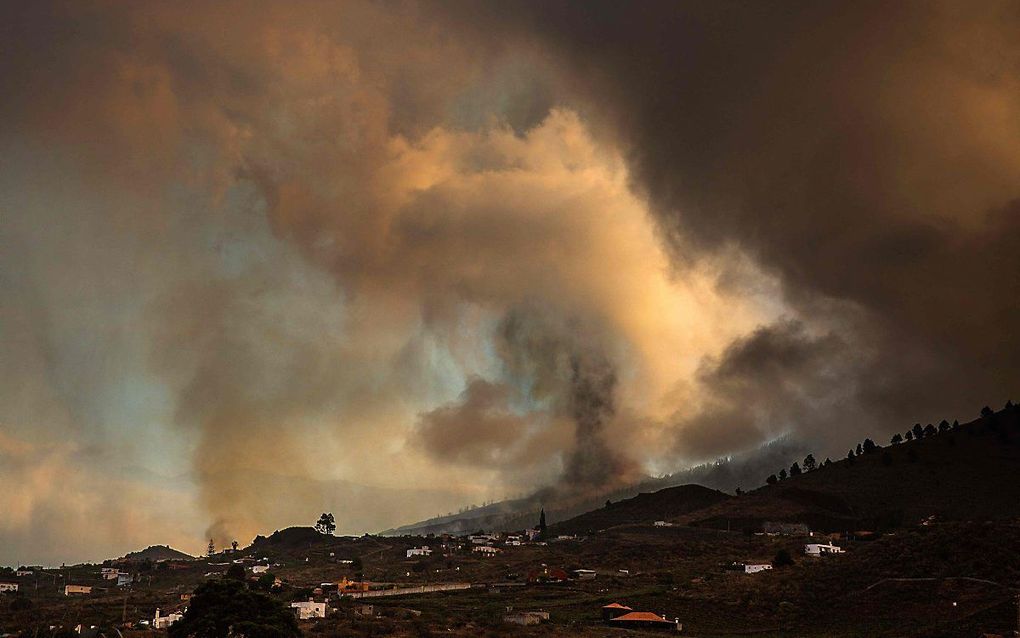 beeld AFP, Desiree Martin