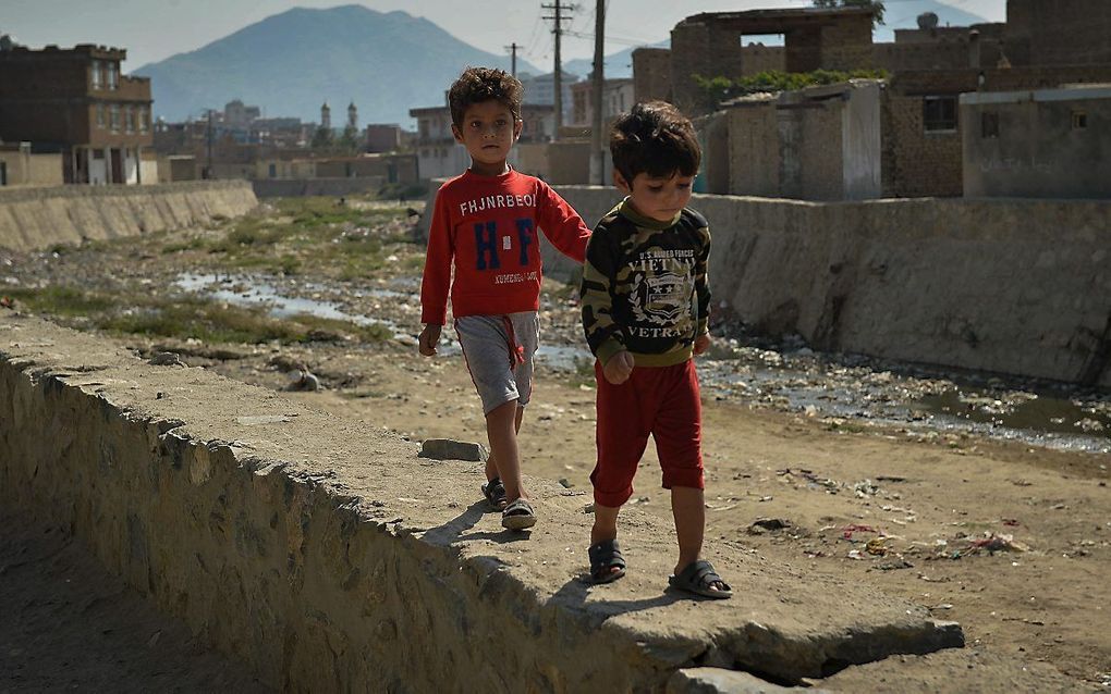 beeld AFP, Honshang Hashimi