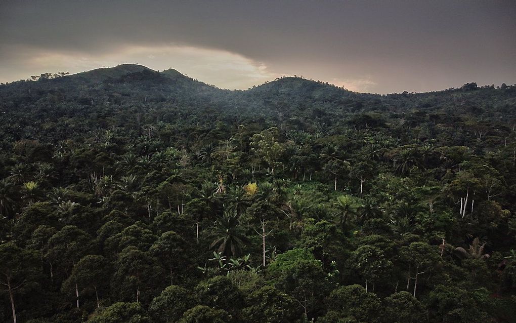 Congo. beeld EPA, Hugh Kinsella Cunningham