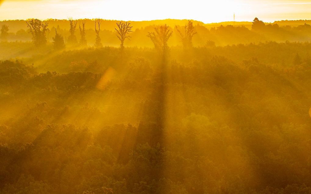 Landschap achter een sluier van mist bij het roeimeer in Nagykanizsa, Hongarije. beeld EPA, Gyorgy Varga