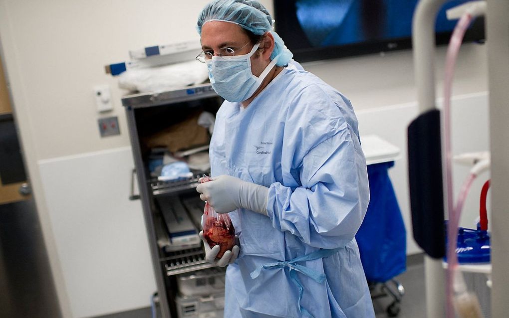 Dorry Segev, hoogleraar transplantatiechirurgie aan de Johns Hopkins School of Medicine. beeld AFP, Brendan Smialowski