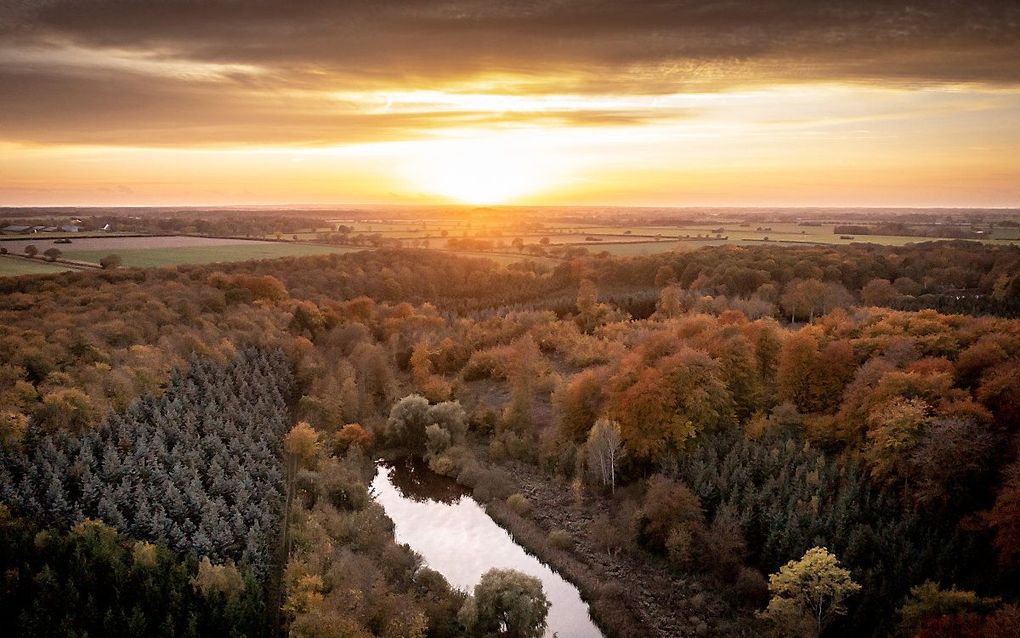 Een luchtfoto gemaakt met een drone toont herfstbladkleurige bomen bij Koege in het midden van Saeland, Denemarken. beeld EPA, Mads Claus Rasmussen