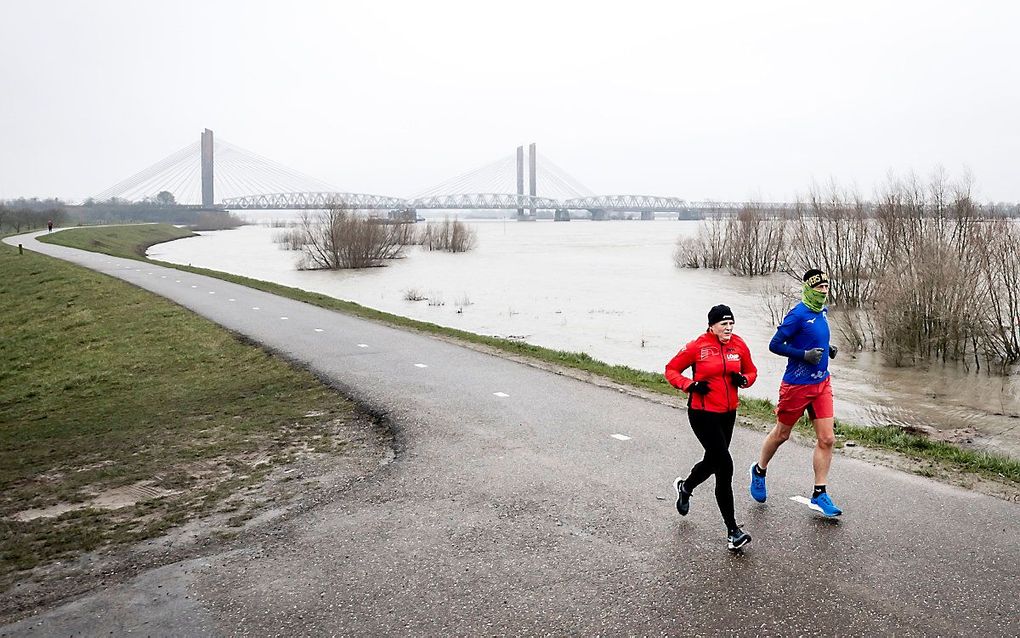 Hoogwater in de Waal, februari 2021. beeld ANP, Remko de Waal