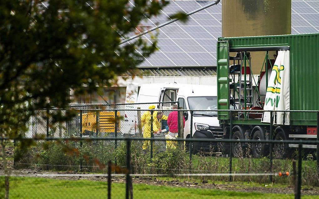 Medewerkers van de NVWA zijn dinsdag bezig met de ruiming van het door vogelgriep getroffen pluimveebedrijf in Zeewolde. beeld ANP, Jeroen Jumelet