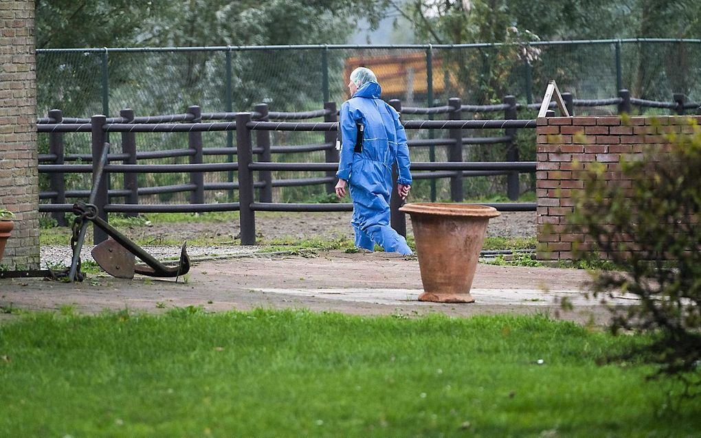 Medewerkers van de Nederlandse Voedsel- en Warenautoriteit ruimen de kippen op de besmette boerderij in Zeewolde. beeld ANP, Jeroen Jumelet