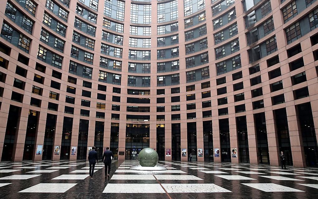 Het gebouw van het Europees Parlement in Straatsburg. beeld AFP, Yves Herman