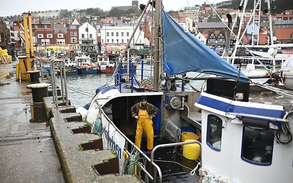 Britse vissersboten in de haven van Scarborough. beeld AFP, Oli Scarff