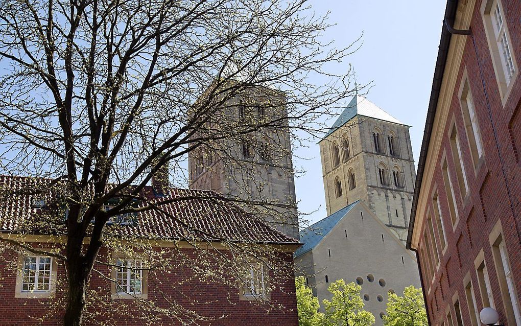 Dom van Münster. beeld RD, Anton Dommerholt