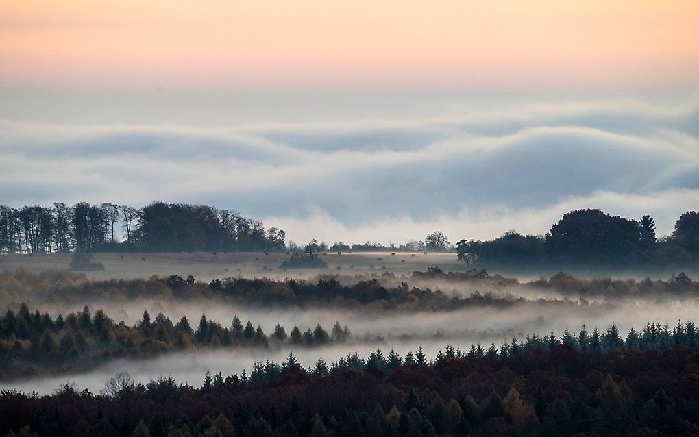 Ochtendmist bedekt het landschap bij Salgotarjan, Hongarije. beeld EPA, Peter Komka