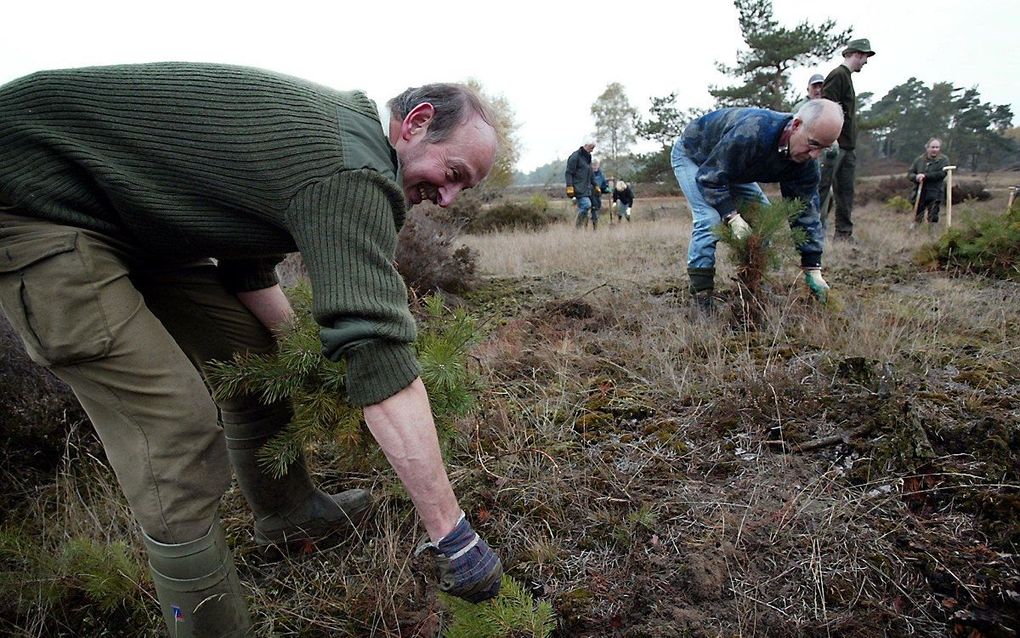 Vrijwilligers aan het werk op het Caitwickerzand tijdens de Natuurwerkdag van 2003. beeld ANP, Marcel Antonisse