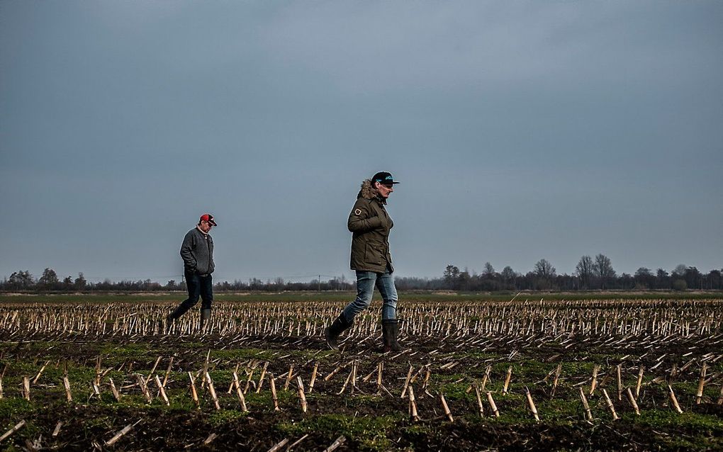 beeld ANP, Siese Veenstra