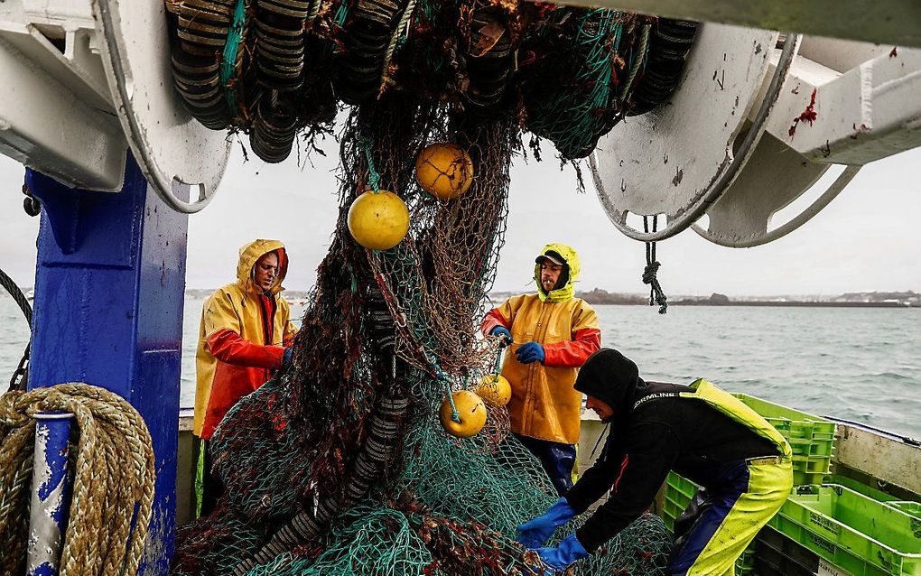 Franse vissers halen een net binnen. beeld AFP, Sameer Al-Doumy