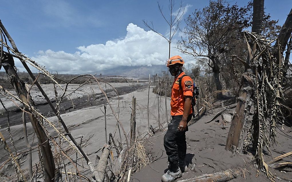 beeld AFP, Adek Berry