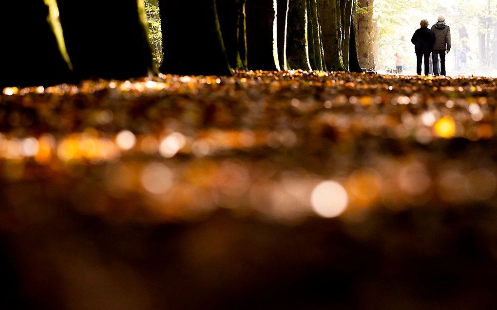 Wanderlaars in het bos. beeld ANP, Koen van Weel