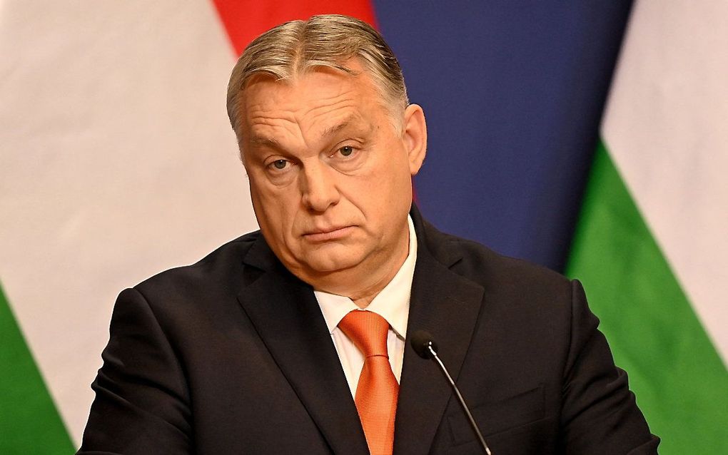 Viktor Orbán. beeld AFP, Attila Kisbenedek