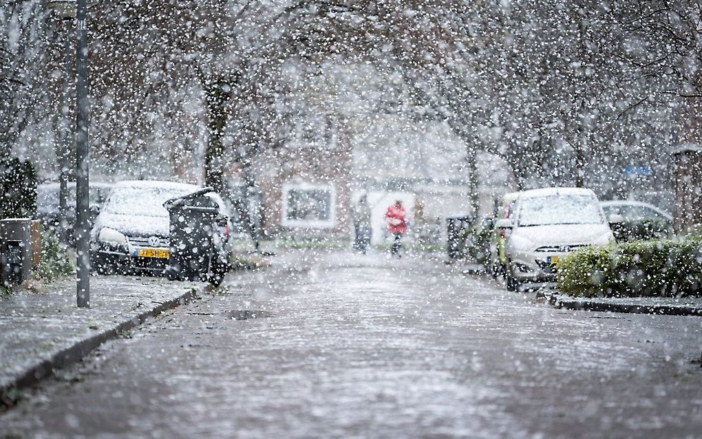 beeld ANP / Hollandse Hoogte Venema Media