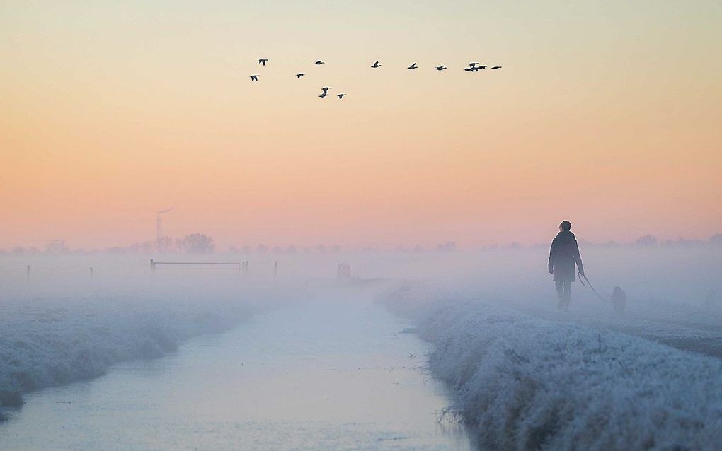 beeld ANP, Jeffrey Groeneweg