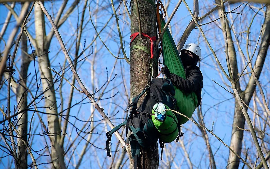 Activisten hebben een bos bezet naast autofabriek VDL Nedcar bij Born (Limburg). Ze klommen met touwen in bomen in installeerden zich daar met hangmatten. beeld ANP, Bas Quaedvlieg