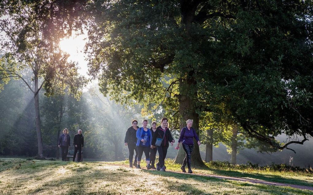 beeld Het Nationale Park De Hoge Veluwe