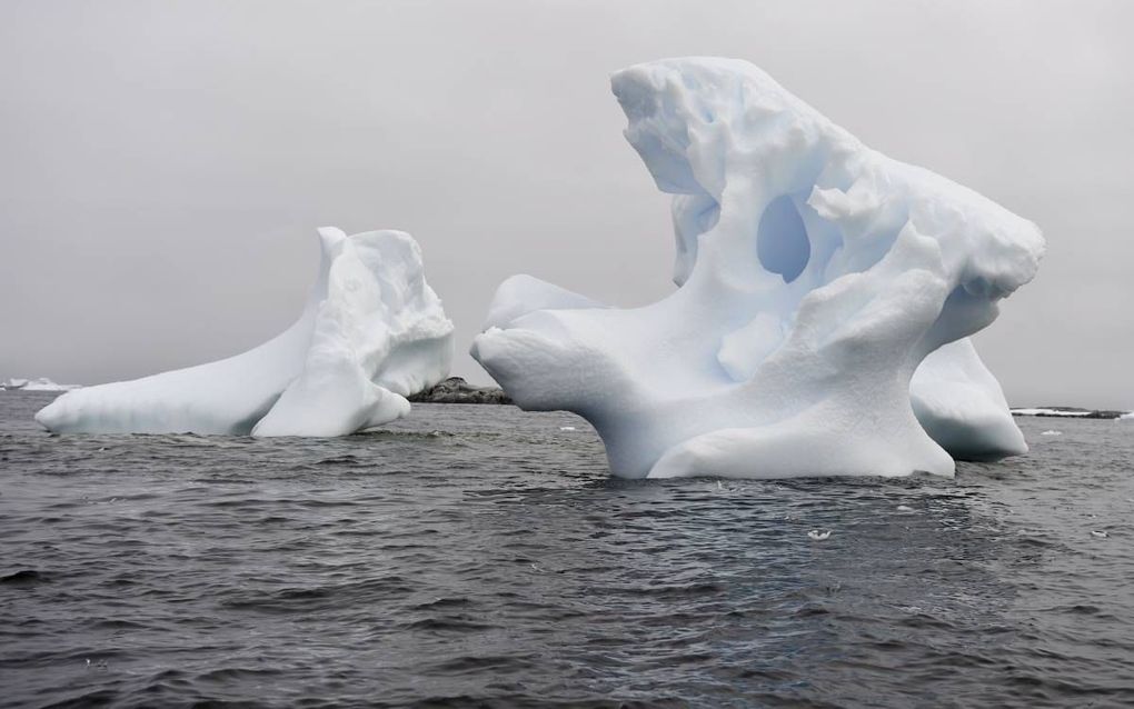 IJsberg voor de kust van het Antarctische schiereiland.  beeld AFP