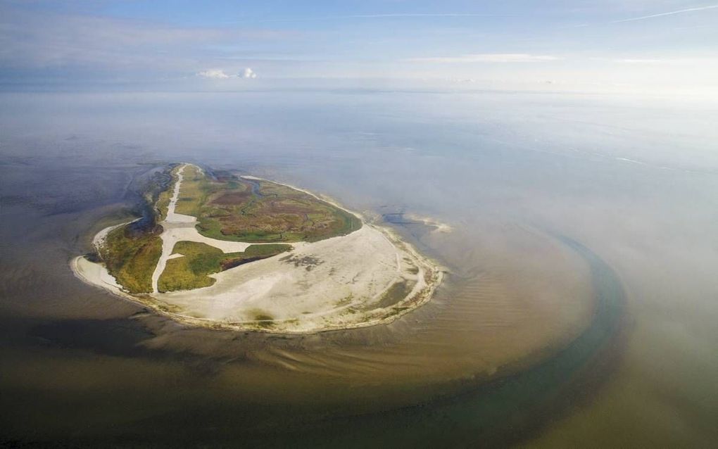 Met het opspuiten van zand en een schelpenrug, is het voortbestaan van vogeleiland Griend voorlopig weer verzekerd. Maandag was het 100 jaar geleden dat Natuurmonumenten de bescherming van het eiland op zich nam.  beeld Jasper Doest