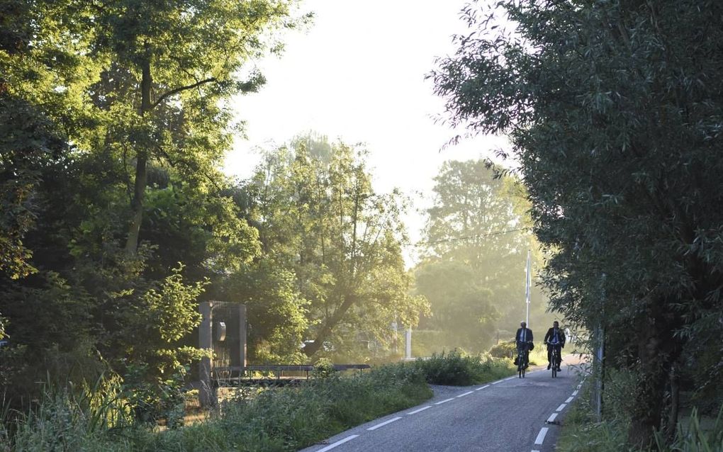 Het gebied van de Reeuwijkse Plassen lokt veel fietsers. beeld Theo Haerkens