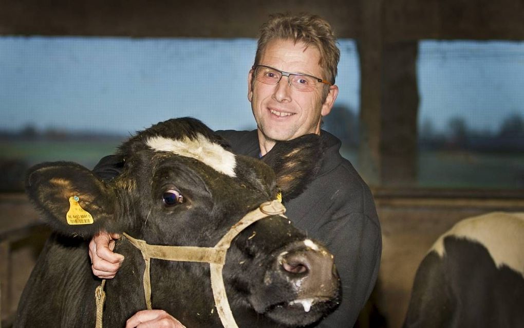 KAMPEREILAND. Melkveehouder Jan van Dijk heeft zijn bedrijf de laatste jaren bewust niet uitgebreid. Nu moet hij, net als veel collega’s, bloeden voor de onstuimige groei van de Nederlandse melkveestapel. beeld RD, Henk Visscher