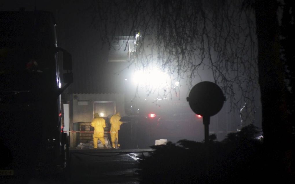 Ruiming van het eendenbedrijf in Biddinghuizen. beeld ANP