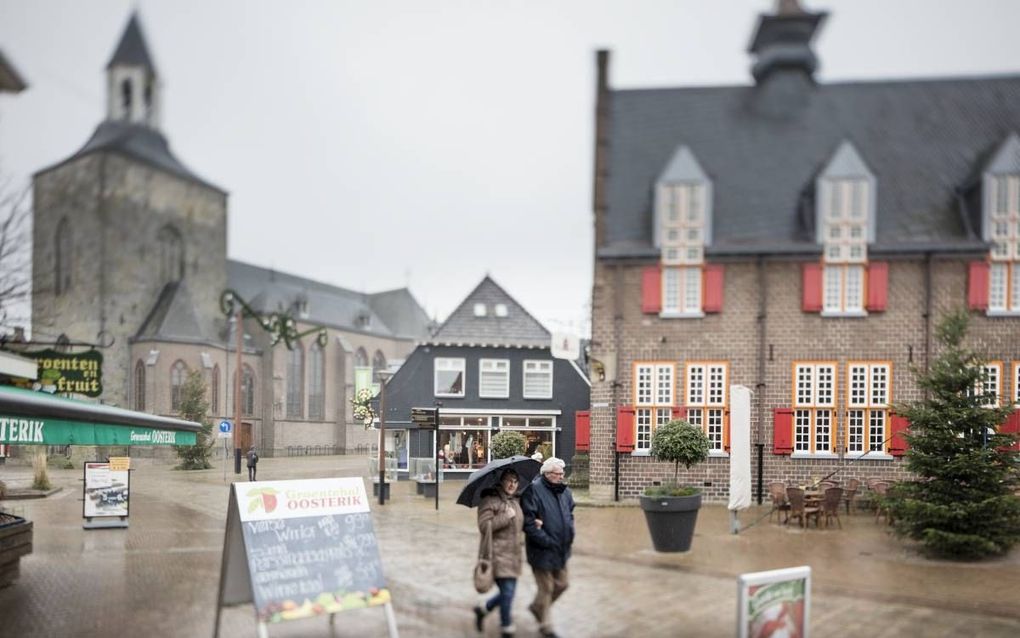 In de Twentse gemeente Tubbergen heeft het CDA de meerderheid in de gemeenteraad. beeld Sjaak Verboom