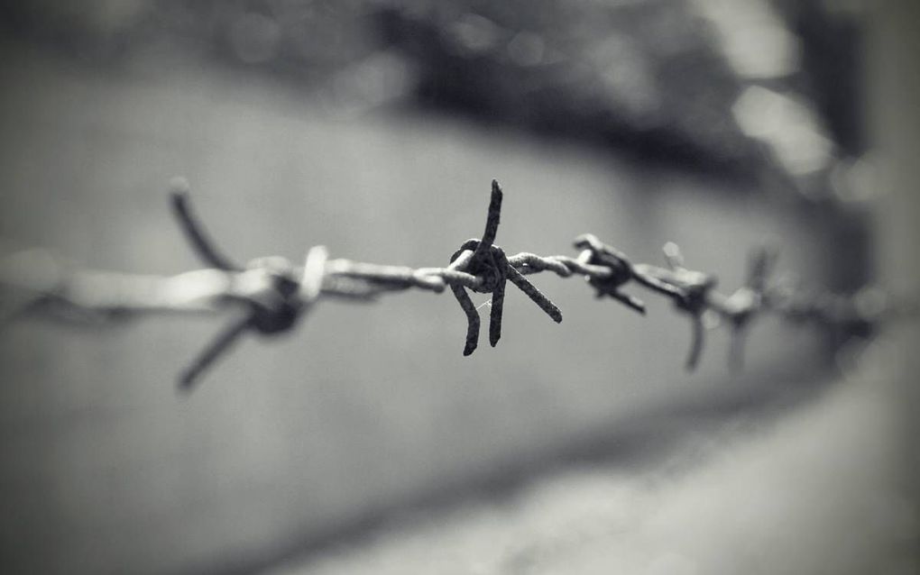 beeld iStock