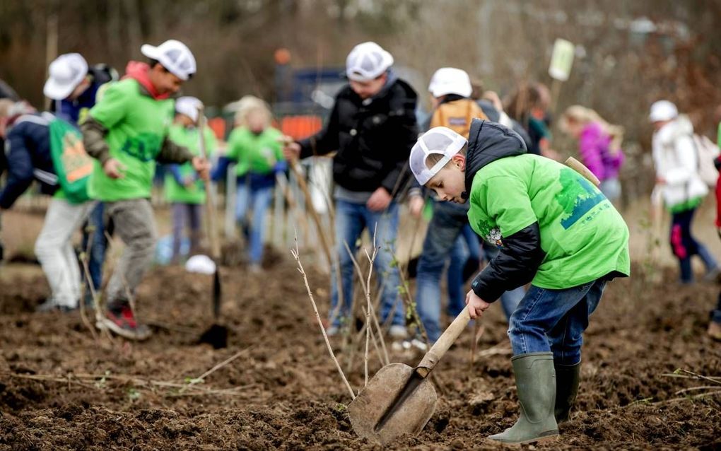 ROSMALEN. Kinderen waren vorig jaar in Rosmalen op de Boomfeestdag druk met het planten van bomen en struiken.  beeld ANP, ​Robin van Lonkhuijsen