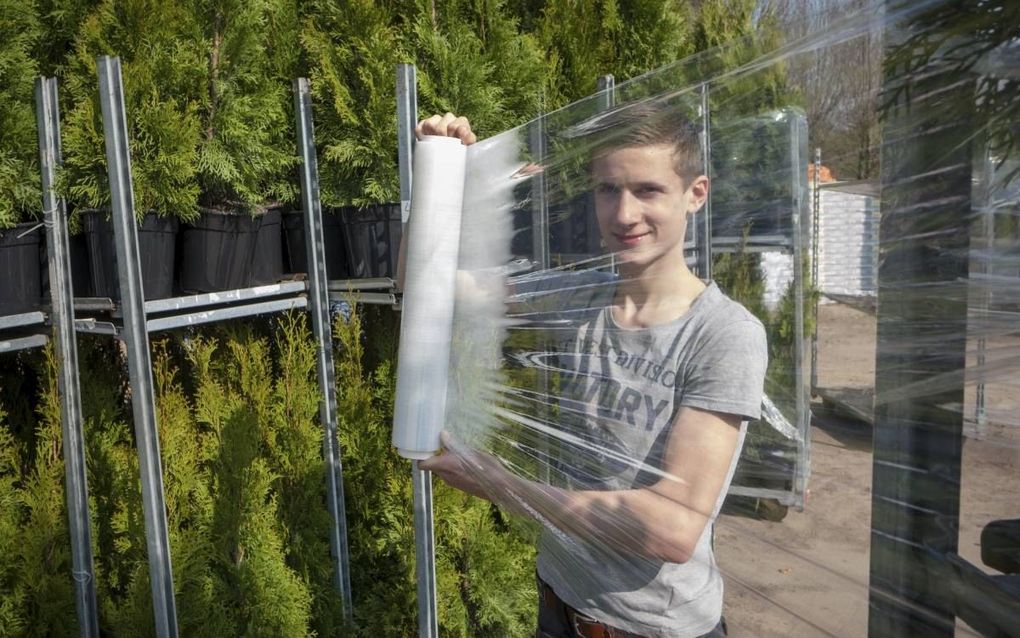 Hugo Jelier werkt op zaterdag bij boomkwekerij Jan Konijn in Lunteren. beeld Niek Stam