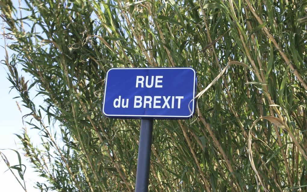 Rue du Brexit. beeld RD