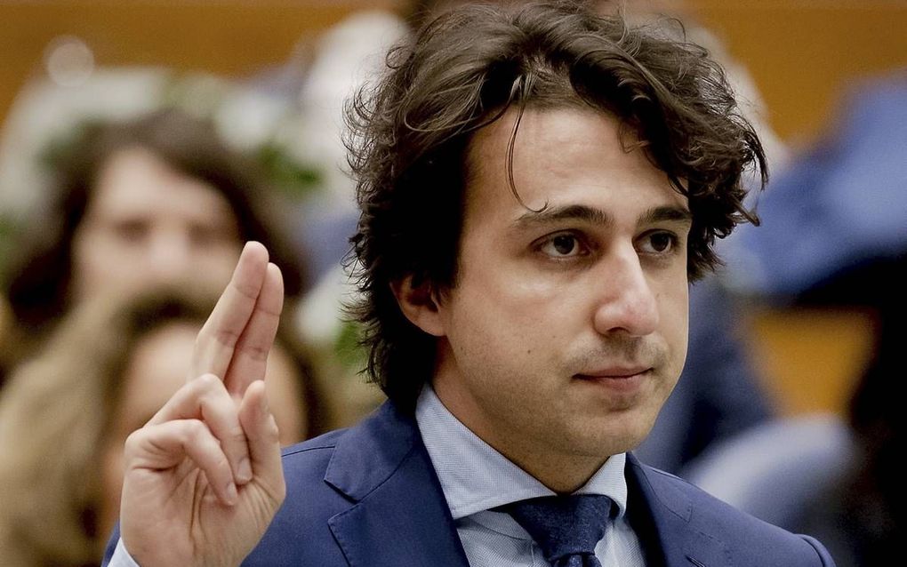 Klaver. beeld ANP, Remko de Waal.