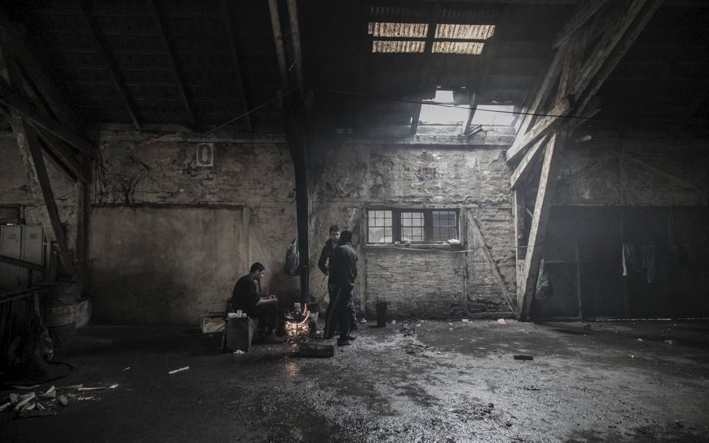 Ze vertrokken voor een individueel of gezamenlijk avontuur, op hoop van zegen, snakkend naar vrede, orde en samenhang. beeld Alex de Kock