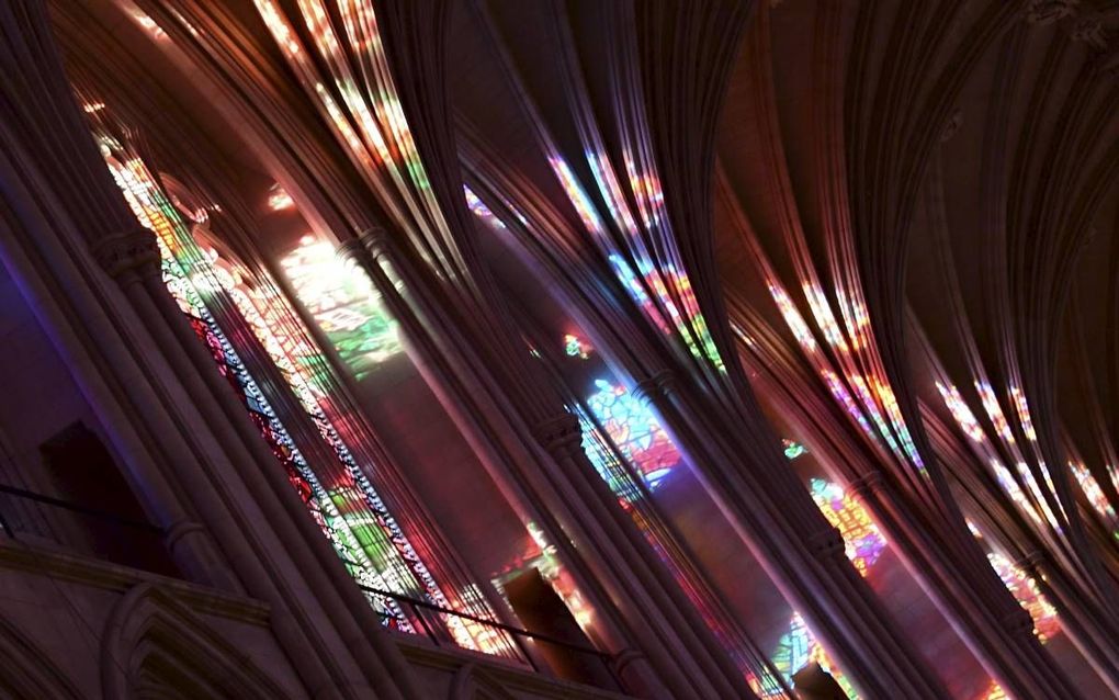 Washington National Cathedral is de vijf na grootste kathedraal ter wereld. De kerk oogt oud, maar is gebouwd in de periode 1907-1990. Het is de kerk waar ook herdenkingsdiensten plaatsvinden. Fotograaf Eva Hambach maakte eerder deze week een fotoreportag