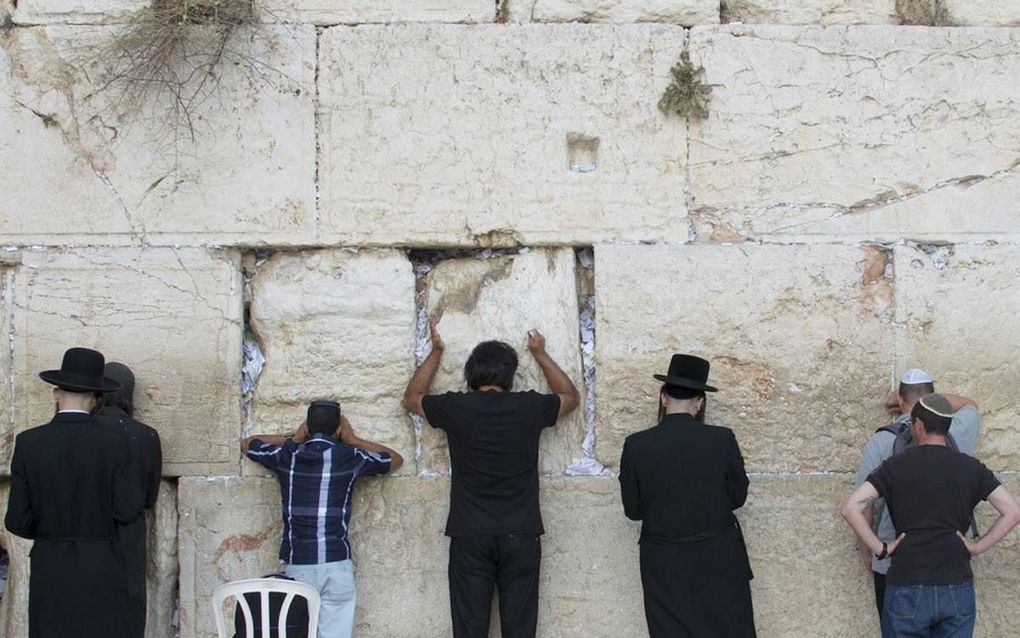 Orthodoxe joden bidden bij de Westelijke Muur in Jeruzalem. beeld Alfred Muller